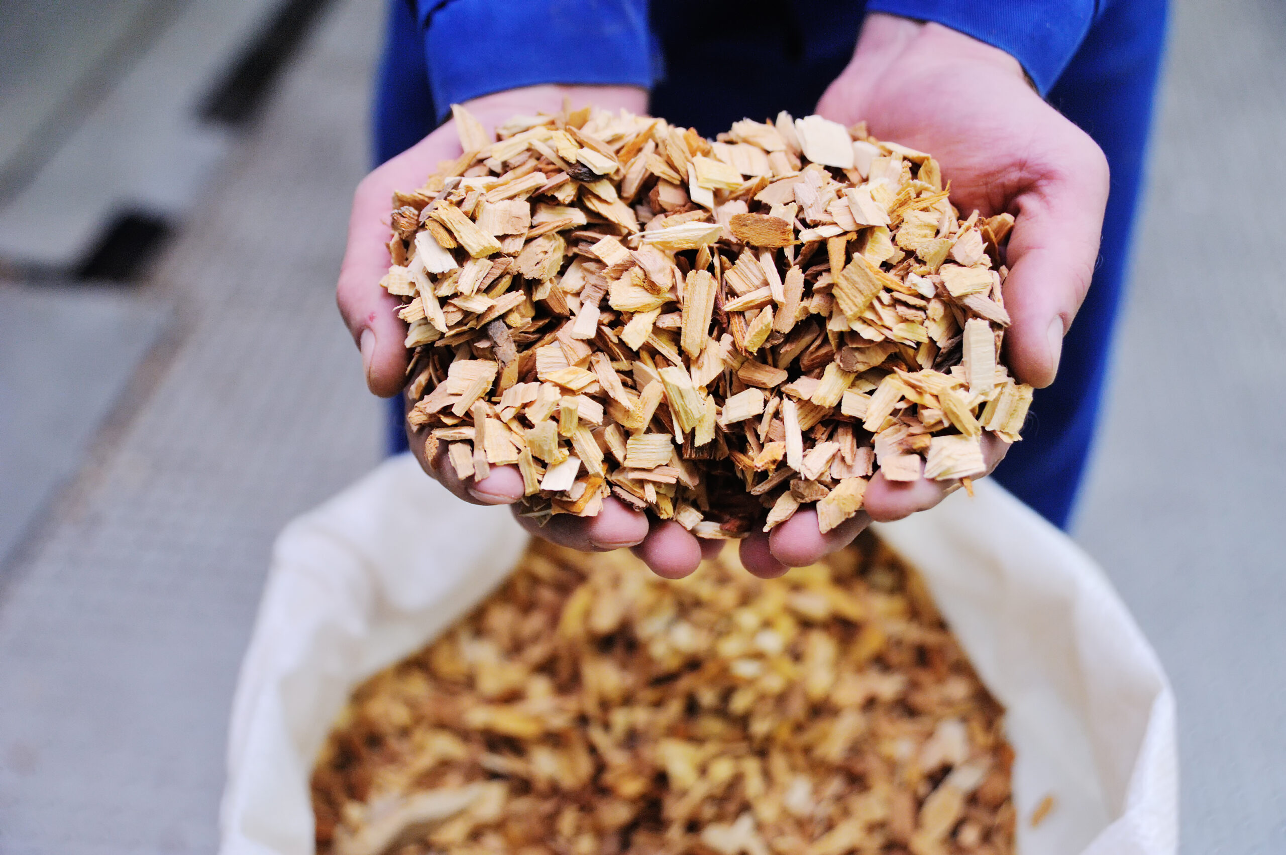 wood chips for wood-fired grill