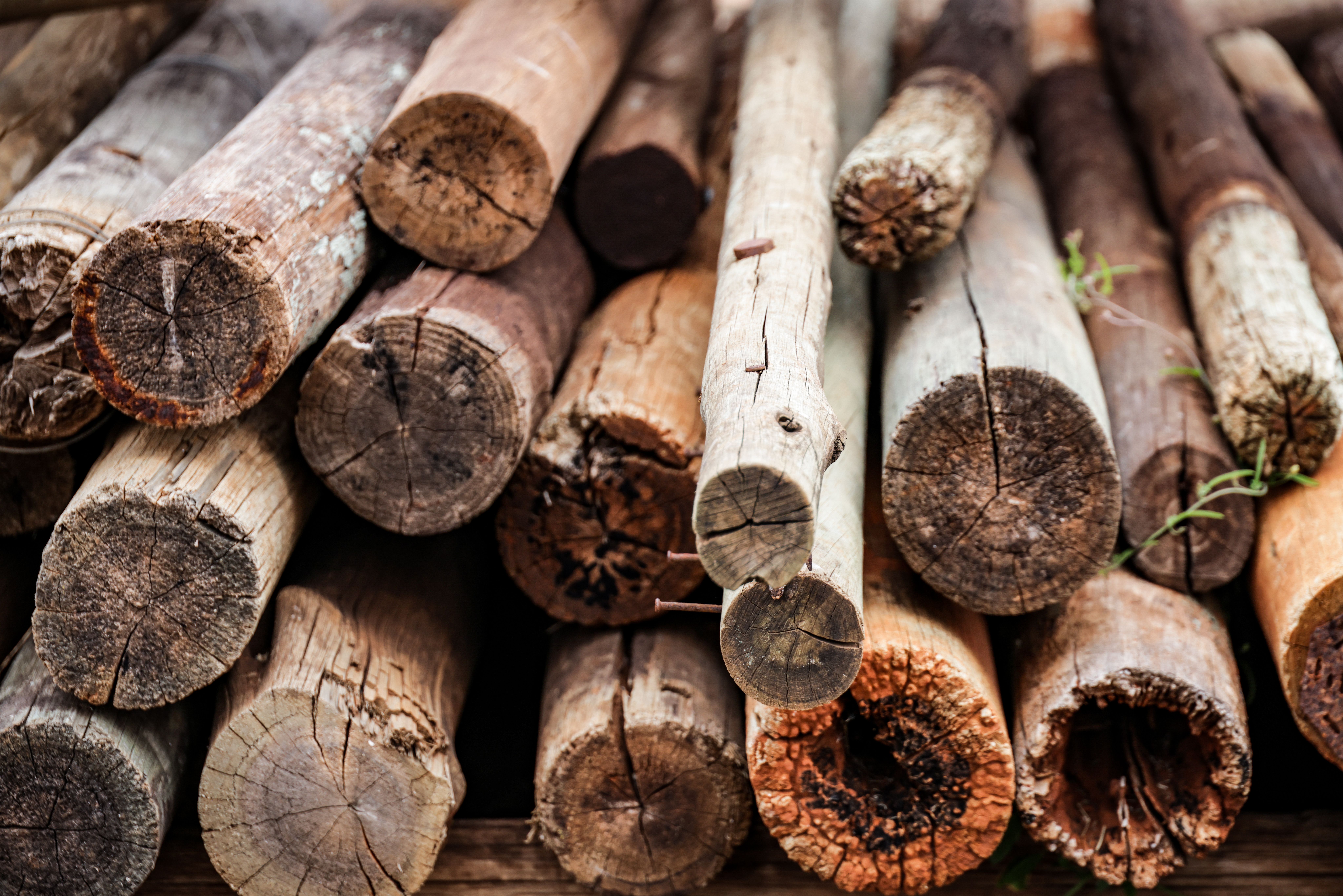 hardwood vs softwood for grilling